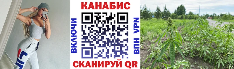 купить наркотик  Лихославль  Бошки Шишки ГИДРОПОН 